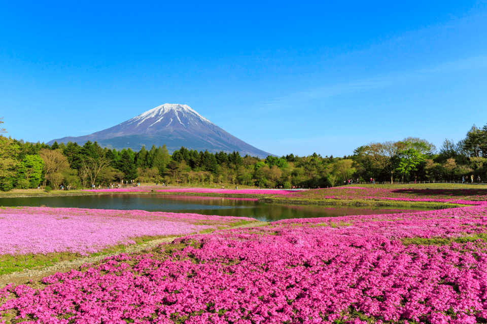 Private Charter Car One Day Trip for Mt Fuji - Included Services