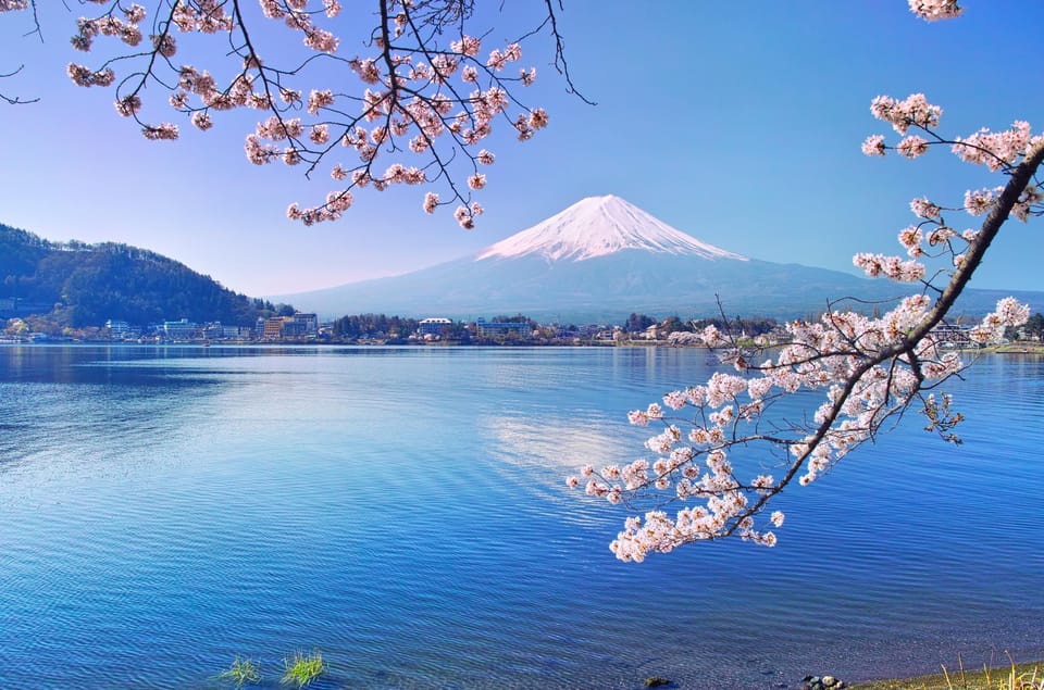 Private Customized Tour in Mount Fuji - Tour Overview and Pricing