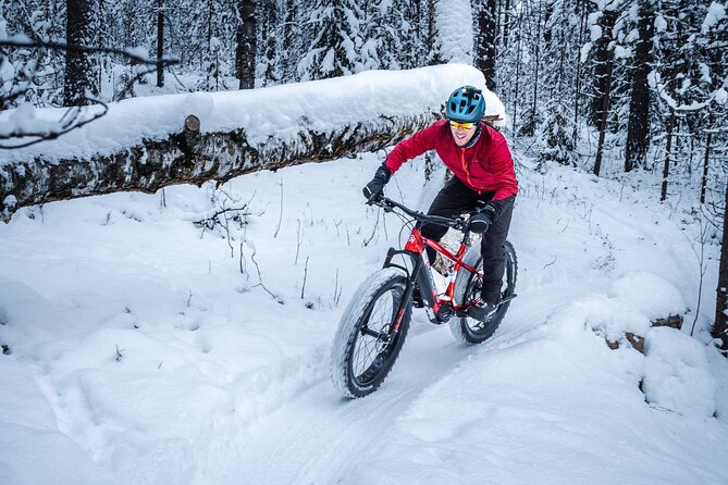 Private Electric Fat Bike Winter Tour in Rovaniemi - Included Amenities