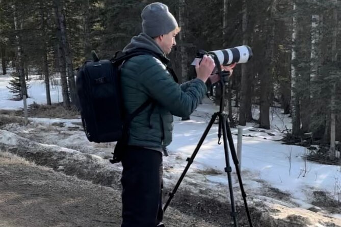 Private Guided Owl Prowl To Observe And Photograph Wild Owls Location And Meeting Point