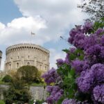 Private Half Day Guided Tour Of Windsor Castle Plus And History Windsor Castle Entrance Fee