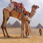 Private Half Day Tour To Giza Pyramids, Sphinx , Lunch And Camel Ride Tour Duration And Type