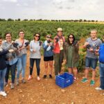 Private Half Day Wine Tour Near Madrid Rated Unique And Personalized Tour Overview