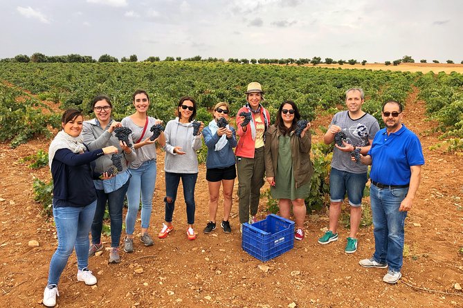 Private Half-Day Wine Tour Near Madrid - Rated Unique and Personalized - Tour Overview