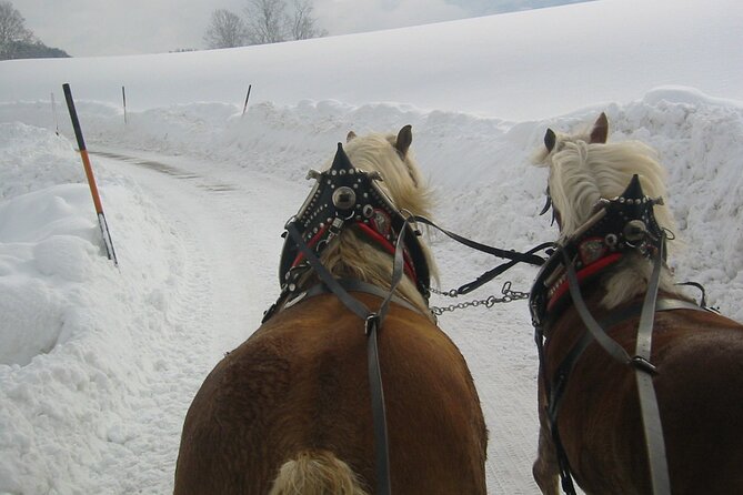 Private Horse Drawn Sleigh Ride From Salzburg Inclusions And Exclusions