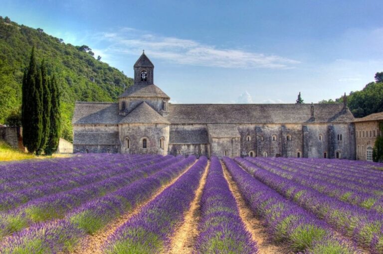 Private Lavender Of Provence Tour Tour Overview