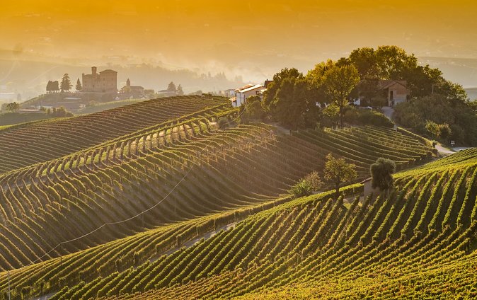 Private Tour: Barolo Wine Tasting in Langhe Area From Torino - Tour Overview and Details