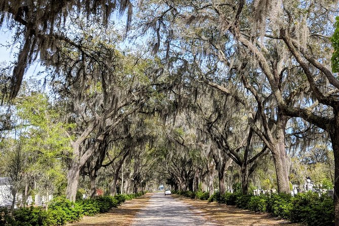 Private Tour of Savannahs Historic/Victorian Districts & Bonaventure Cemetery - Tour Overview