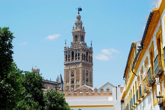 Private Tour One Day in Seville - Meeting and End Point