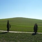 Private Tour To Siena And San Gimignano With Wine Tasting & Lunch Exploring Sienas Cathedral