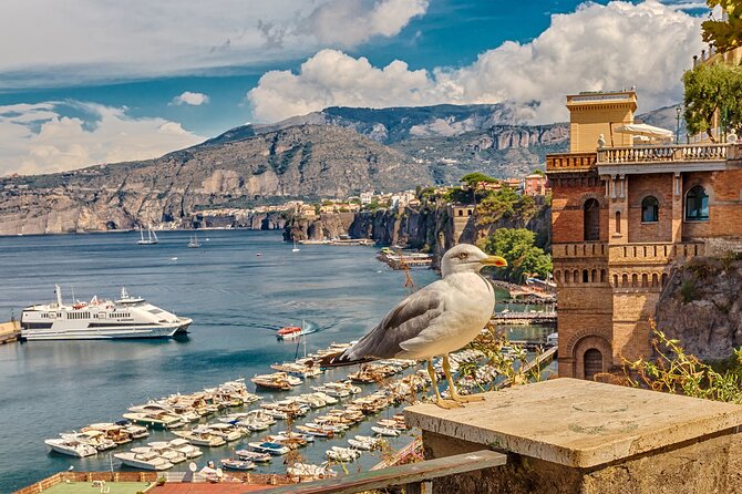 Private Transfer From Naples to Sorrento - Overview of the Transfer Service