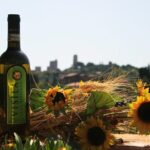 Private Tuscan Meal With Wine And Extra Virgin Olive Oil Tasting Overview Of The Experience