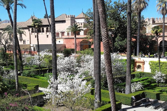 Private Visit Cathedral and Royal Alcazares of Seville - Highlights of the Tour