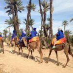 Quad And Camel Ride In The Palmgrove Of Marrakech Tour Overview