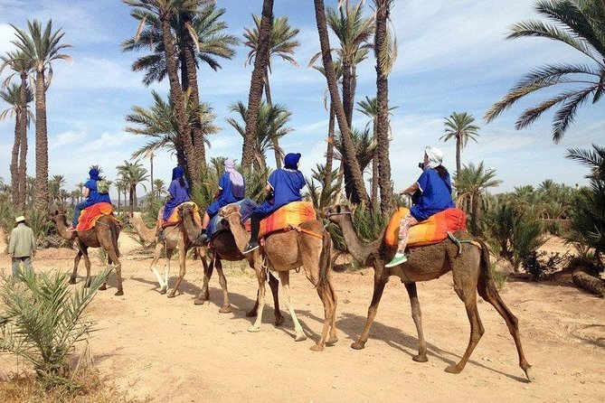 Quad and Camel Ride in the Palmgrove of Marrakech - Tour Overview