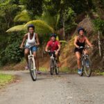 Rainforest Cycling Adventure In St. Lucia Cycling Through Forest Trails