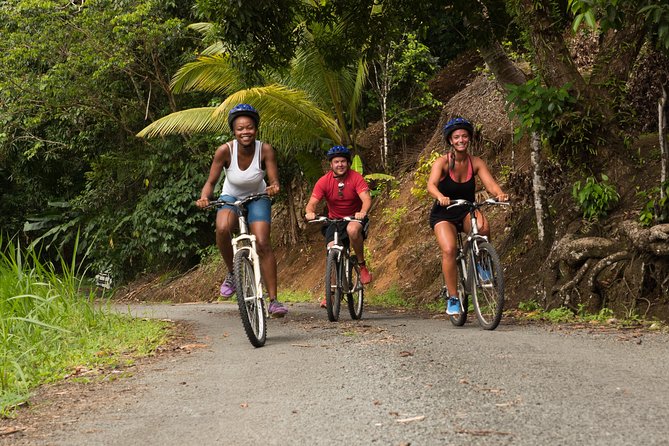 Rainforest Cycling Adventure In St. Lucia Cycling Through Forest Trails