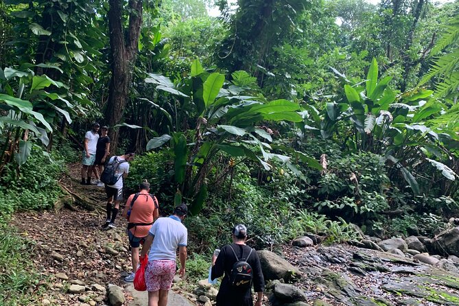 Rainforest Nature Walk & Luquillo Beach Combo Exploring Luquillo Beach