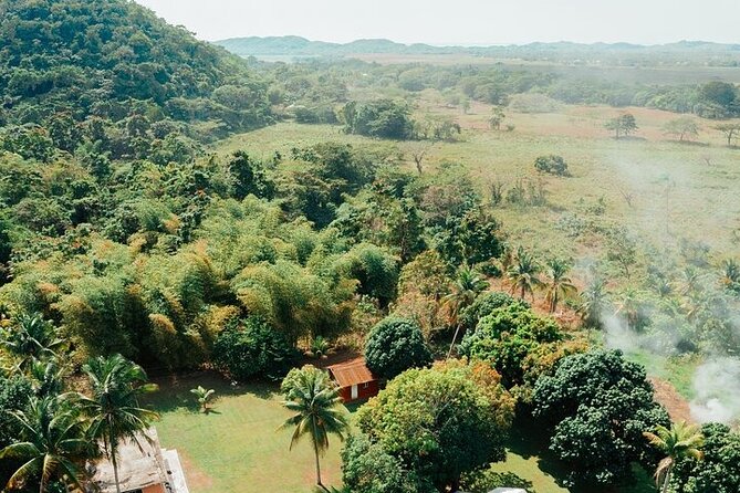 Rastafari Cultural Atv Community Experience From Negril Tour Overview