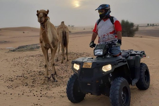 Red Dune Desert Safari Dubai (PREMIUM VIP) - Dining and Amenities