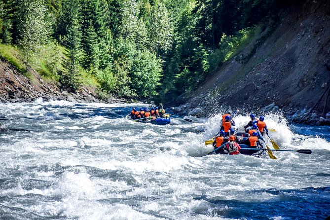 Revelstoke Rapids Overview