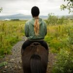 Reykjavik: Silfra Snorkel Tour And Horse Ride With Photos Tour Overview