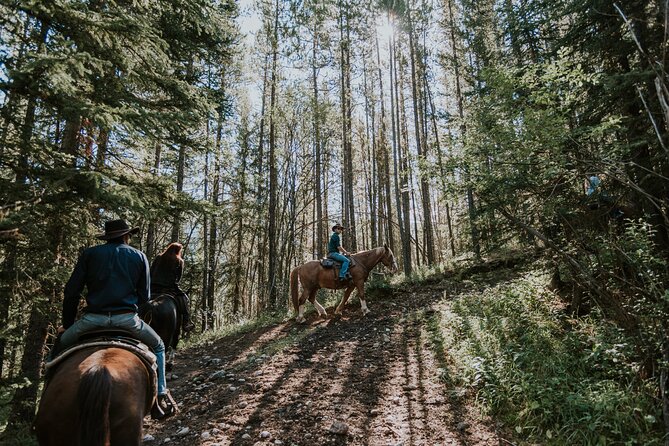 Ridge Ride 2 Hour Horseback Trail Ride In Kananaskis Whats Included In The Tour