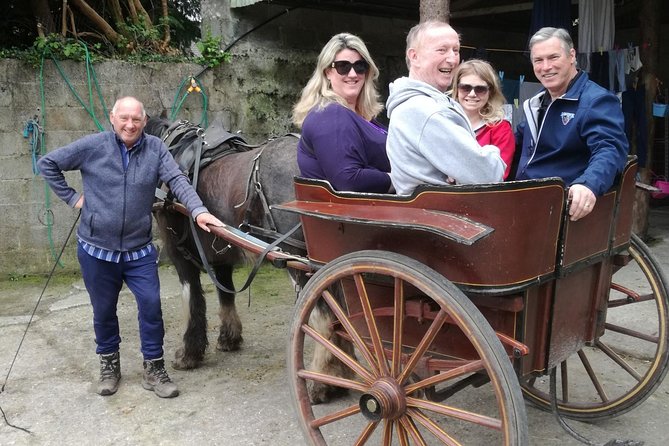 Ring of Kerry Tour Private Chauffeur Driven From Killarney Luxury - Tour Highlights