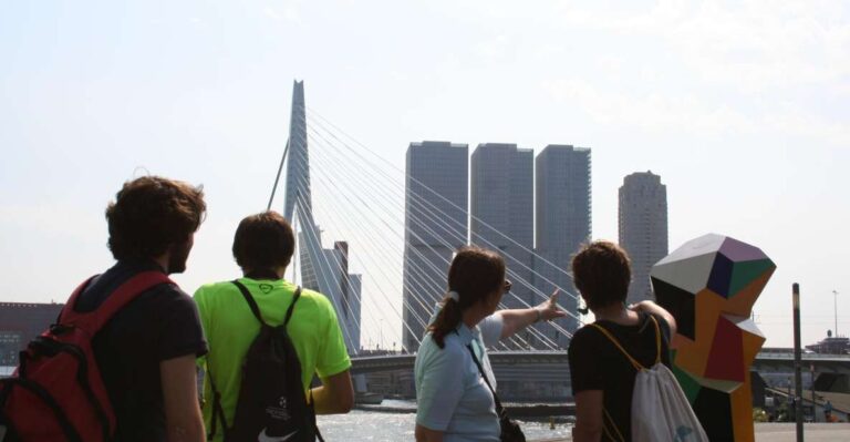 Rotterdam: Group Architecture Walking Tour Led By Architects Tour Overview