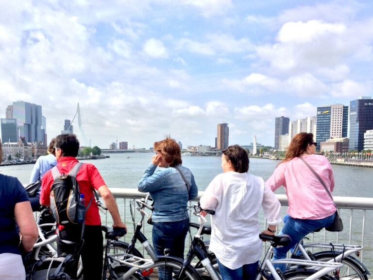 Rotterdam Highlights 2.5 Hour Bike Tour Tour Overview And Details