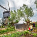 Rotterdam: Kinderdijk Windmill Village Entry Ticket Ticket Pricing And Details