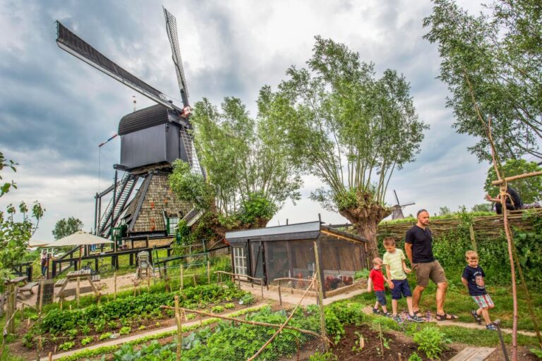 Rotterdam: Kinderdijk Windmill Village Entry Ticket Ticket Pricing And Details