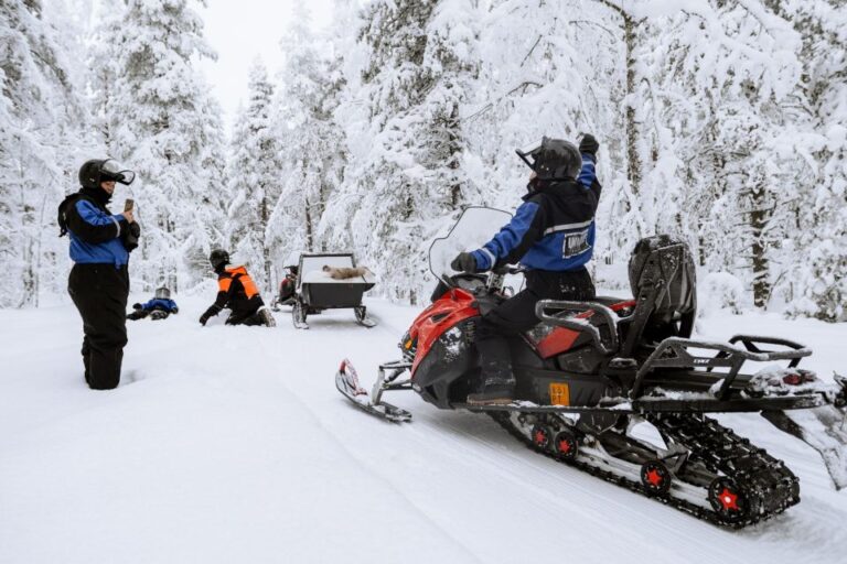 Rovaniemi: Easy Snowmobile Safari About The Activity