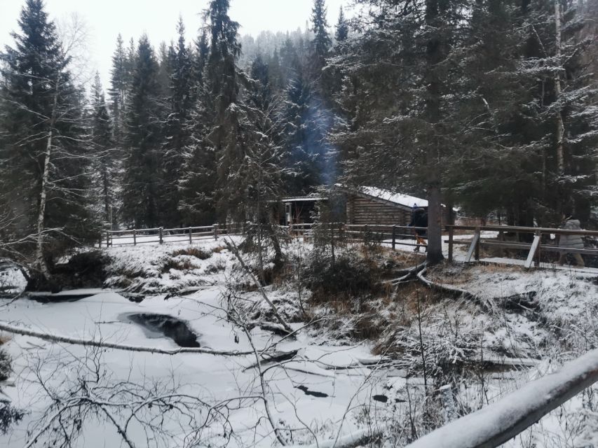 Rovaniemi: Guided Hike to Korouoma Canyon Frozen Waterfalls - Taking in Winter Wonderland