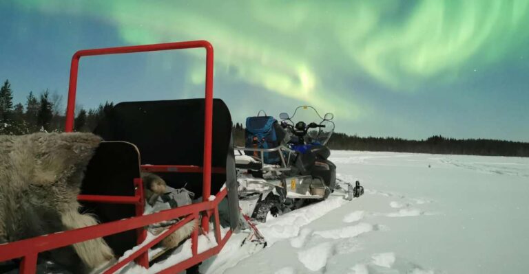 Rovaniemi: Northern Lights Sledge Ride Highlights Of The Ride