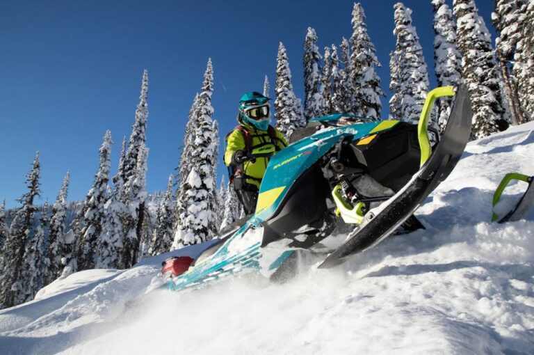 Rovaniemi: Snowmobile Safari Adventure Tour Details