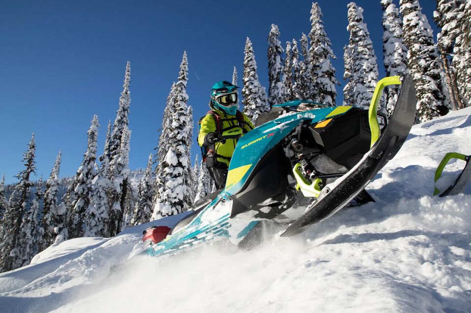 Rovaniemi: Snowmobile Safari Adventure - Tour Details