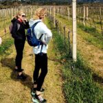 Rural Biking & Wine Tasting Tour In Dubrovnik Tour Overview And Details