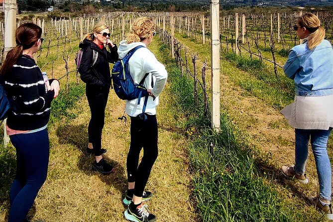 Rural Biking & Wine Tasting Tour in Dubrovnik - Tour Overview and Details