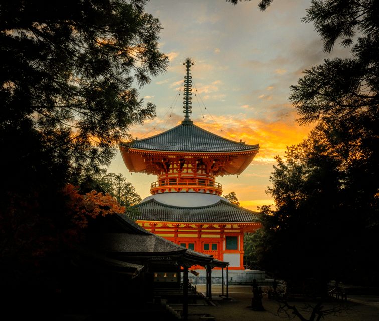 Sacred Koyasan: Meditation in Sanctuary to Purification - Practical Tips for Visiting