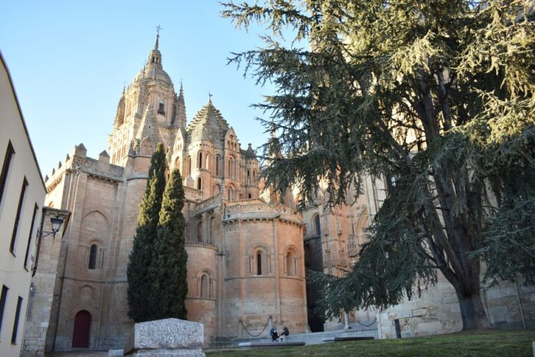 Salamanca: Private Sightseeing & Cultural Walking Tour Tour Overview