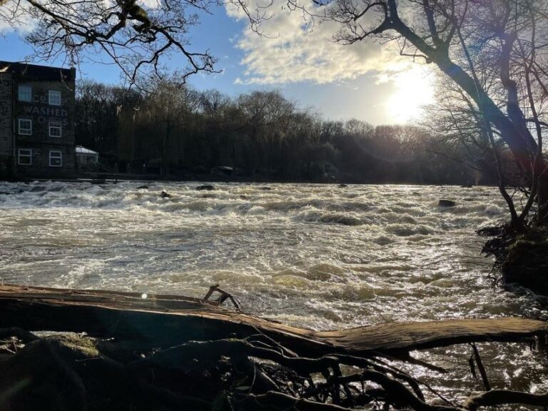 Saltaire: Half Day Guided Walking Tour Tour Overview