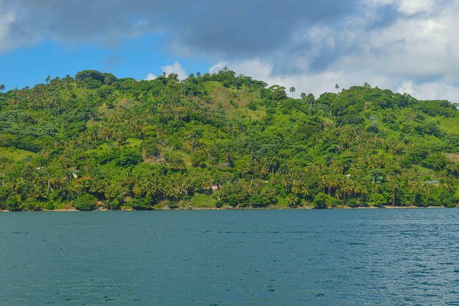 Samana Full Day Tour With Whale Watching And Horse Riding Pickup And Drop Off