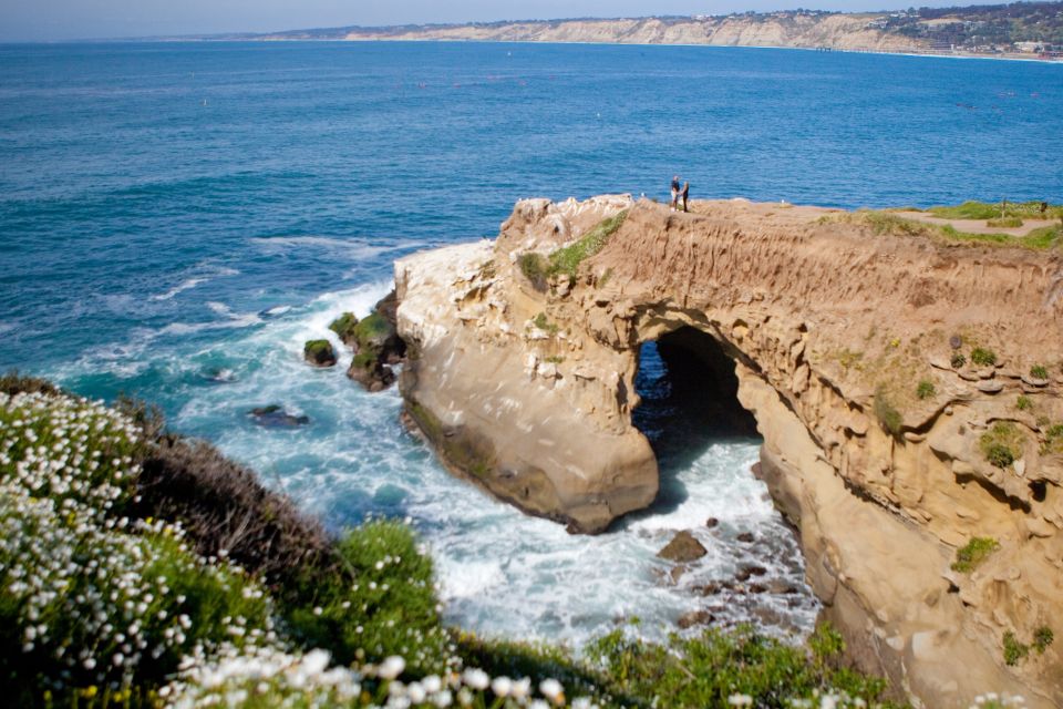 San Diego: La Jolla Summit to Sea Bike Tour - Cruise From Downtown La Jolla