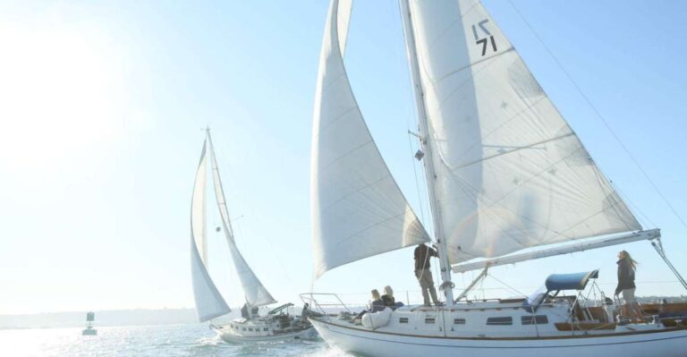 San Diego: Private 2 Hour Sailing Tour For 3 6 People Overview Of The Sailing Tour