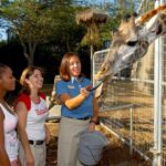 San Diego Zoo: 1 Day Admission Ticket Ticket Details And Pricing