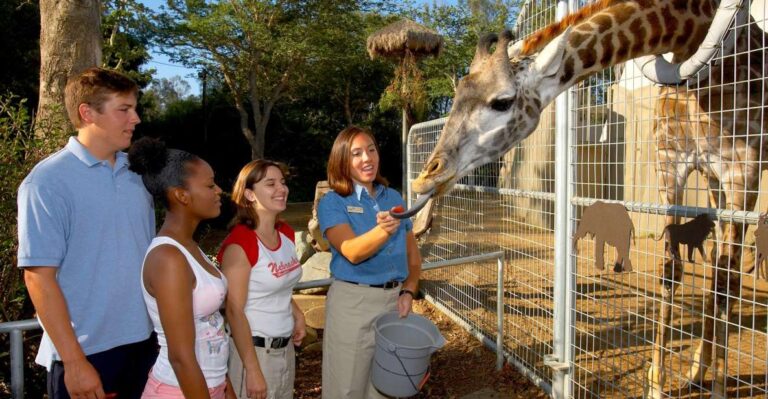 San Diego Zoo: 1 Day Admission Ticket Ticket Details And Pricing