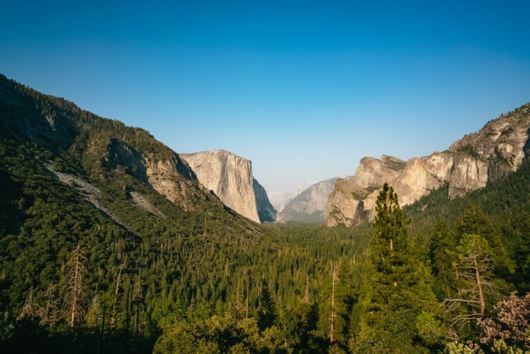 San Francisco: Day Trip To Yosemite With Giant Sequoias Hike Tour Overview