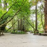 San Francisco: Muir Woods And Sausalito Small Group Tour Tour Overview