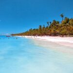 Saona Island Tour From Juan Dolio Tour Overview